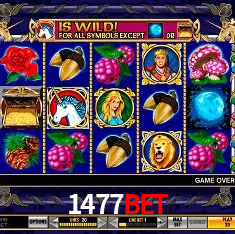 1477bet São Paulo - All Bonuses